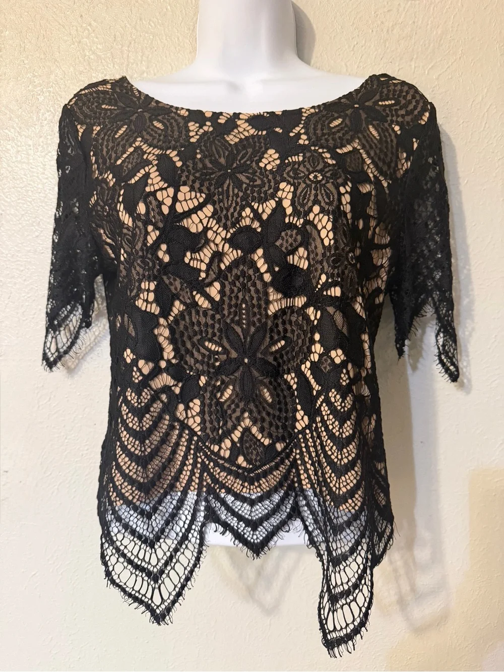 Express Black Crochet Floral Eyelash Lace Overlay Victorian Crop Top Blouse Sz S